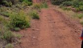 Trail Walking La Motte - z les demoiselles 31-05-22 - Photo 1