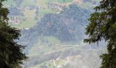 Tour Wandern Cohennoz - suuntoapp-Hiking-2024-09-12T06-49-26Z - Photo 5