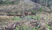 Trail Walking Houffalize - Achouffe 12 Km - Photo 6