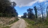 Trail Walking Laroque-des-Albères - Laroque-des-Albères . ballade de 2 fontaines  - Photo 19