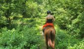 Trail Horseback riding Vigy - 2024-07-18_100557.gpx - Photo 2