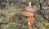 Trail Walking Peillon - Peillon - Peille - Peillon - Photo 12