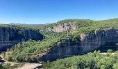 Trail Walking Berrias-et-Casteljau - Les gorges de Chassezac - Photo 9