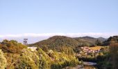 Excursión A pie Langreo - Paséu fluvial del Nalón - Photo 9