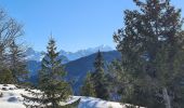 Trail Snowshoes Fillière - CREPON DE  MONTOULIVERT - Photo 1