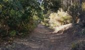 Excursión Senderismo Puget-sur-Argens - Meulieres  - Photo 2