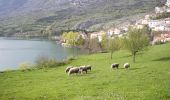 Trail On foot Barrea - Civitella Alfedena - Barrea - Photo 9