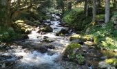 Percorso Marcia Arrens-Marsous - refuge larribet par lac suyen - Photo 18