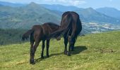 Excursión Senderismo Itxassou - Mondarrain Gorospil en boucle retour par GR10 - Photo 1