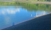 Trail Trail Capesterre-Belle-Eau - Le Barrage  - Photo 4