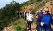 Tocht Stappen Saint-Raphaël - La grotte Chapelle Saint Honorat - Photo 8