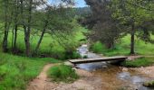 Tocht Stappen Cheylard-l'Évêque - cheylard - la bastide - Photo 4