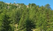 Tour Wandern Colmars - Le Laupon - Villars Colmars - Photo 2