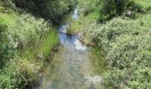 Randonnée A pied Querença, Tôr e Benafim - Fonte Benémola - Photo 1