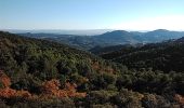 Trail Walking Malaucène - Le cirque de St Amand Suzette 84 - Photo 2