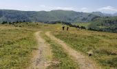 Trail Walking Albiès - Plateau de Beille et Crête des Gènibres - Photo 1