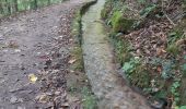 Trail Walking Echternach - mullerthal rando E1 . echternach . berdorf . echtrnach . via gorge du loup - Photo 4