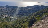 Randonnée Trail Cavalaire-sur-Mer - cavalaire, le dattier par les DFCI - Photo 4