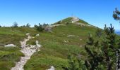 Trail Walking Borée - 2022-06-27_19h04m40_Tour du Mont Mézenc 15km.gpx.xml - Photo 3