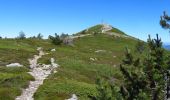 Randonnée Marche Borée - Tour du Mont Mézenc 15km. - Photo 3