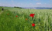 Trail Walking Liège -  Jupille-sur-Meuse - Photo 3