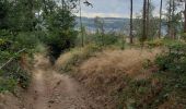 Tour Wandern Andenne - Geron(Andenne) -   Surlemez(Couthuin) circuit - Photo 4