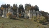 Randonnée Marche Lans-en-Vercors - pas de l'ours 2019 - Photo 3