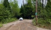 Tocht Stappen Lac-Édouard - QC - Lac Édouard - Les Bouleaux - Photo 1