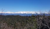 Trail Walking Le Sappey-en-Chartreuse - Le Rochet du Bret - Photo 4