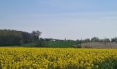 Excursión Senderismo Urvillers - parcours urvillers moy de l'aisne - Photo 9