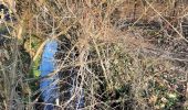 Randonnée Marche Villers-la-Ville - Le Château de Cognée et la Pêcherée au départ du Camp (Marbais) - Photo 9