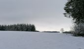 Trail Walking Fauvillers - Sur les traces des chevaliers maudits de Bodange  - Photo 2