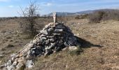 Trail Walking Courmes - Courmes  - Photo 14