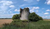 Trail Walking Athée-sur-Cher - Athée-sur-Cher - Chandon - Tour du Brandon - 21.2km 160m 4h40 (50mn) - 2025 05 10 - Photo 6