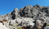 Trail Walking Saint-Martin-Vésubie - Cime ouest de fenestre  - Photo 3