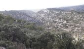 Tour Wandern Gordes - 84 village des bories abbaye de Senanque - Photo 2