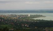 Tour Zu Fuß Balatonalmádi - S▲ (Felsőörs-Balatonalmádi út - Csere-hegy, Szabadság-kilátó) - Photo 6