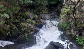 Trail Walking Gérardmer - autour de gérardmer  - Photo 2