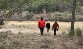 Trail Walking Aubres - Aubres col de Chicogne  - Photo 1