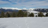 Trail Walking La Mure-Argens - La mure montagne de  maurel 950m 14kms - Photo 1