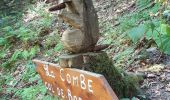 Tour Wandern Bellecombe-en-Bauges - montagne du charbon : montée par la piste Reposoir. col de bornette . refuge de la combe / retour même itinéraire sauf par les champs et bois depuis bornette  - Photo 16