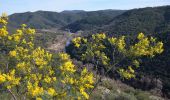 Excursión Senderismo Les Arcs-sur-Argens - Les Arcs - Forêt Apiès depuis Pont d'Aille - Photo 3