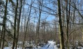 Trail Walking Tinlot - Ramelot sous la neige - Photo 3