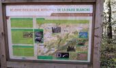 Trail Walking Besançon - dame blanche depuis petites baraques. - Photo 1