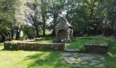 Trail Walking Theix-Noyalo - GRP_Lanvaux_AK_11_Theix_St-Nolf_20210615 - Photo 1