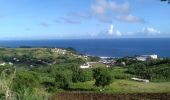 Trail On foot Le Lorrain - Boucle Morne Capot via Savane Cély - Photo 1