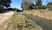 Randonnée Marche Aureille - Canal des Baux à Partir d’Aureille - Photo 5