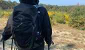 Trail Walking Le Porge - Zot/fifi - Photo 16