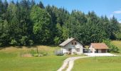 Tocht Stappen Logatec - Rovte, Rovte, Slovenija - Photo 7