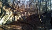 Excursión Senderismo Fontainebleau - Ne dépassons pas les bornes ! - Photo 1